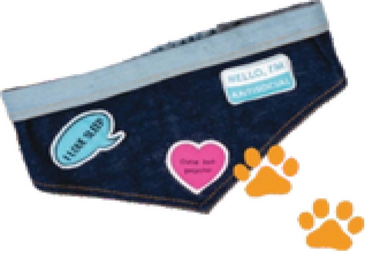Pet Bandana 2